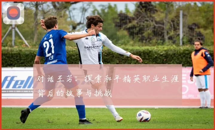 对话王芳：探索和平精英职业生涯背后的故事与挑战