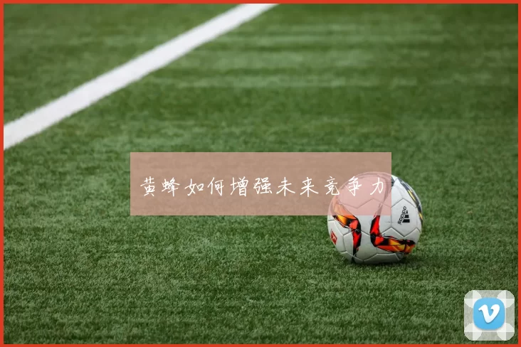 黄蜂如何增强未来竞争力