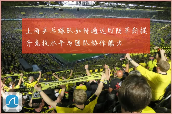 上海乒乓球队如何通过盯防革新提升竞技水平与团队协作能力