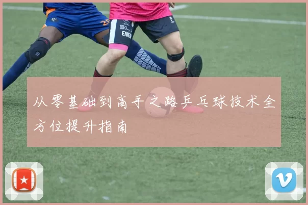 从零基础到高手之路乒乓球技术全方位提升指南