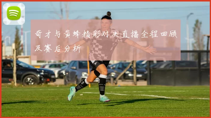 奇才与黄蜂精彩对决直播全程回顾及赛后分析