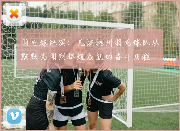 羽毛球纪实：见证杭州羽毛球队从默默无闻到辉煌成就的奋斗历程