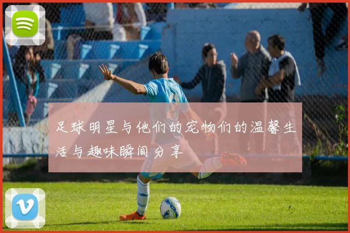足球明星与他们的宠物们的温馨生活与趣味瞬间分享