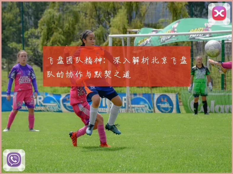 飞盘团队精神：深入解析北京飞盘队的协作与默契之道