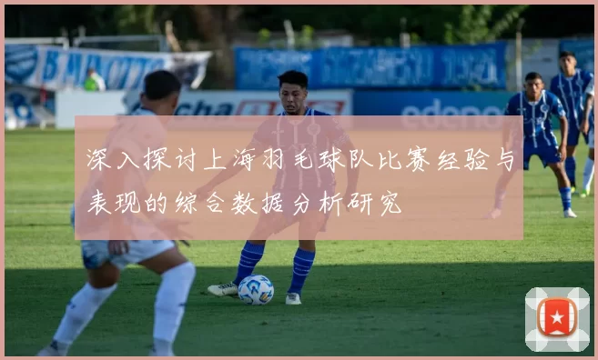 深入探讨上海羽毛球队比赛经验与表现的综合数据分析研究