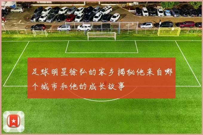 足球明星徐弘的家乡揭秘他来自哪个城市和他的成长故事